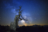 Milky Way Poster och Canvastavla