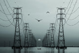 Transmission Line Poster och Canvastavla