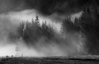morning fog Poster och Canvastavla