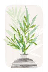 Painted Olive Branch Still Life Poster och Canvastavla