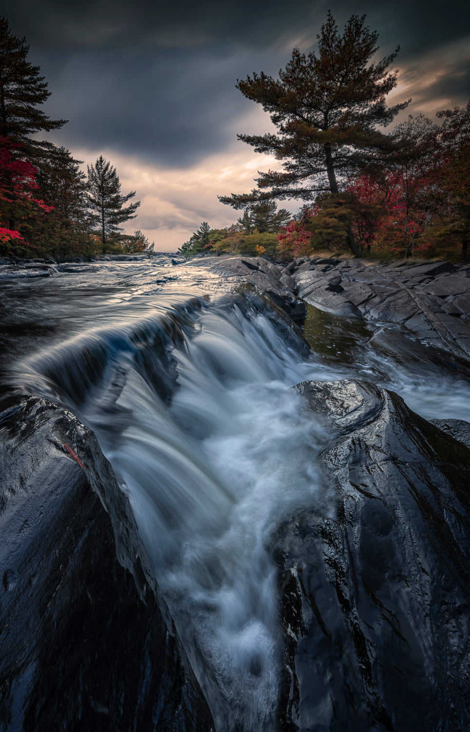 Autumn getaways in Ontario Poster och Canvastavla