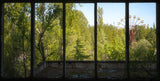 Ferris Wheel in Pripyat Chernobyl Poster och Canvastavla