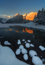 GOLDEN MORNING IN SNOW Poster och Canvastavla