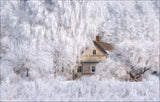 Winter Tale Poster och Canvastavla