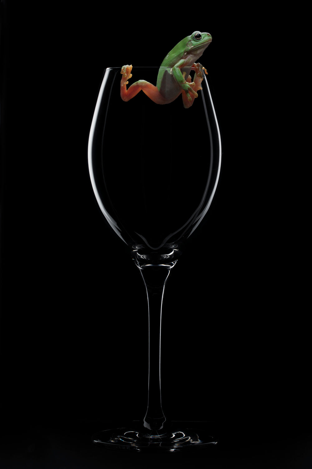 Cheers Poster och Canvastavla