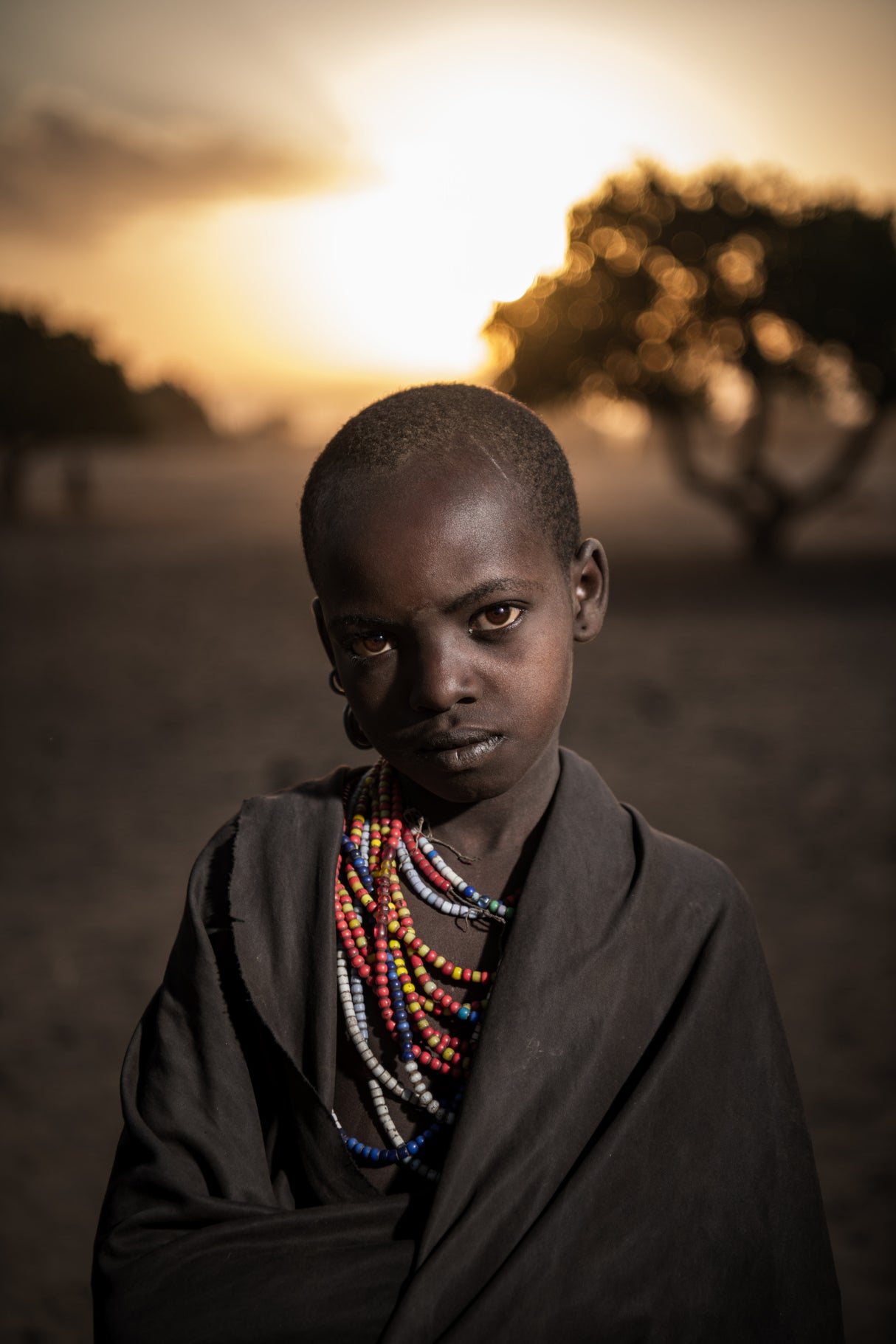 The Arbore Poster och Canvastavla