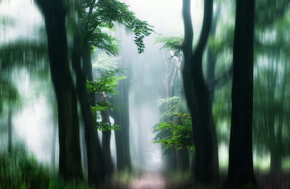 a hobbits path Poster och Canvastavla