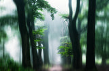 a hobbits path Poster och Canvastavla
