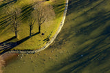 View from Above Poster och Canvastavla