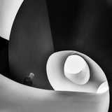 A walk in the snail shell Poster och Canvastavla