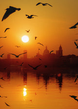 Sunset Birds Lake Poster och Canvastavla
