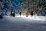winter fairytale Poster och Canvastavla