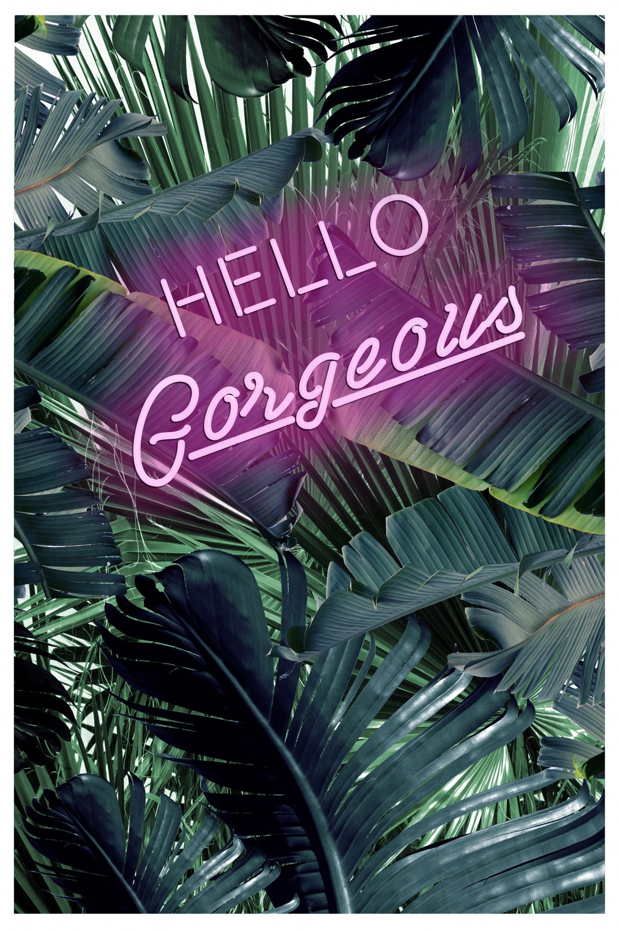 Hello Gorgeous Poster och Canvastavla