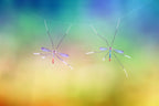 Hanging Together Poster och Canvastavla