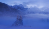 Winter evening Poster och Canvastavla