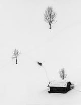 Winter Days Poster och Canvastavla