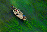 Green river Poster och Canvastavla
