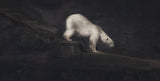 Climbing Poster och Canvastavla