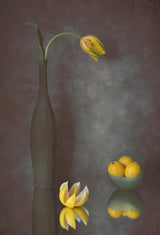Tulip &amp; Lemons Poster och Canvastavla