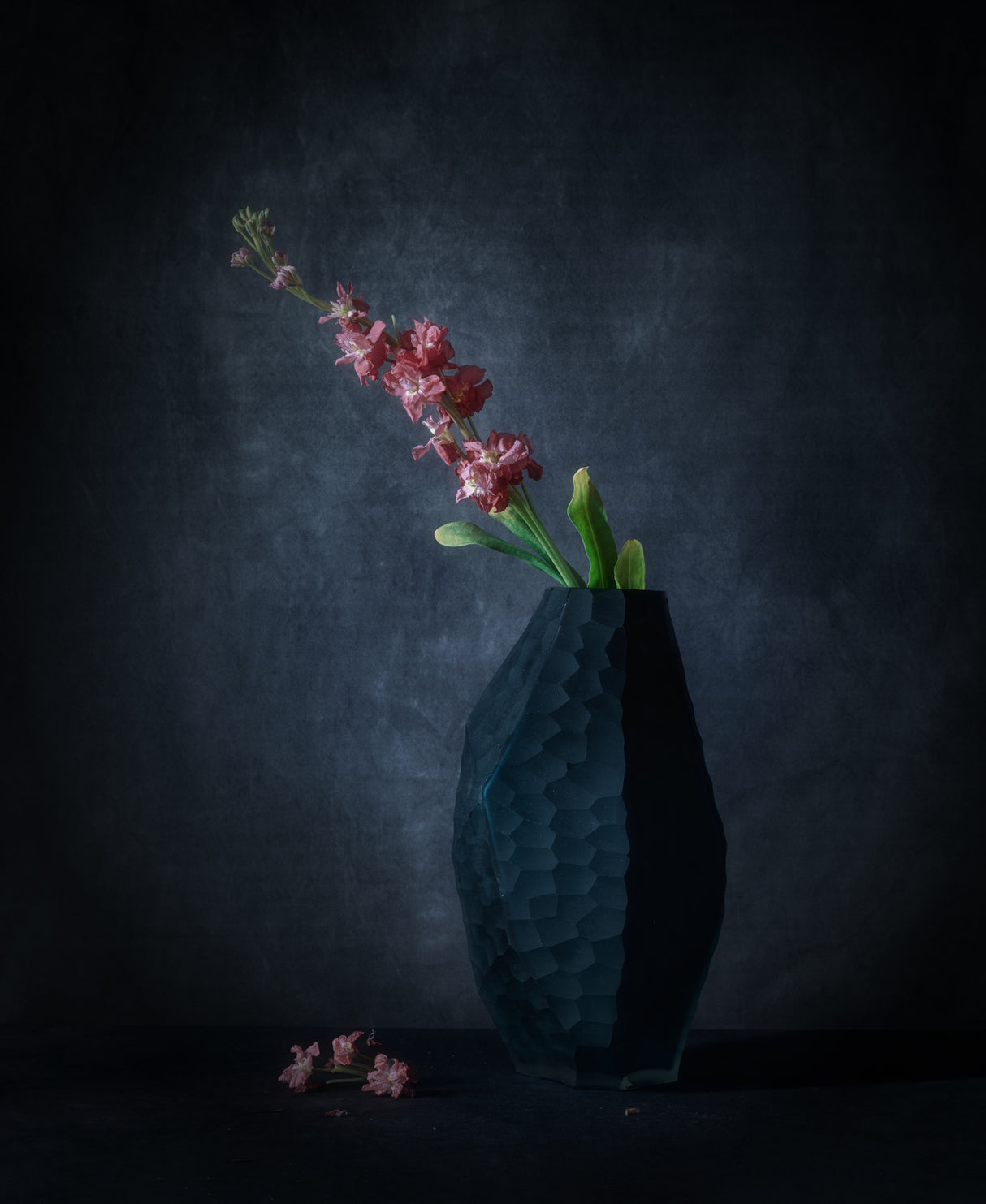 Matthiola Incana with a Rock Vase Poster och Canvastavla