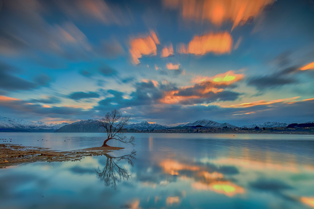 That Wanaka Tree Sunrise Poster och Canvastavla