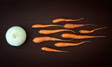 Vegetable reproduction Poster och Canvastavla