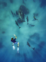 Feel the deep Poster och Canvastavla