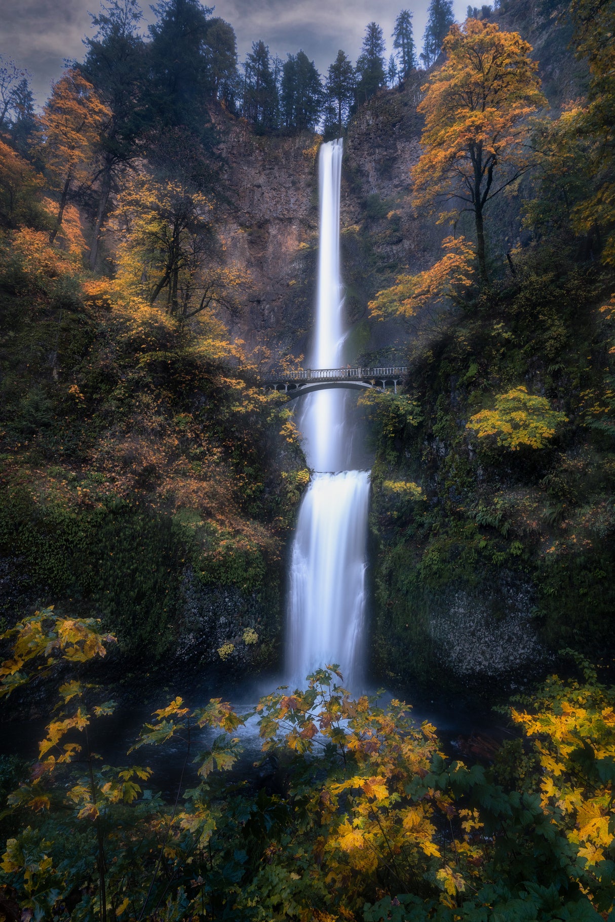 Multnomah Falls: When Silver Meets Gold Poster och Canvastavla