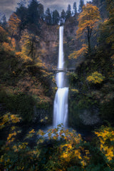 Multnomah Falls: When Silver Meets Gold Poster och Canvastavla
