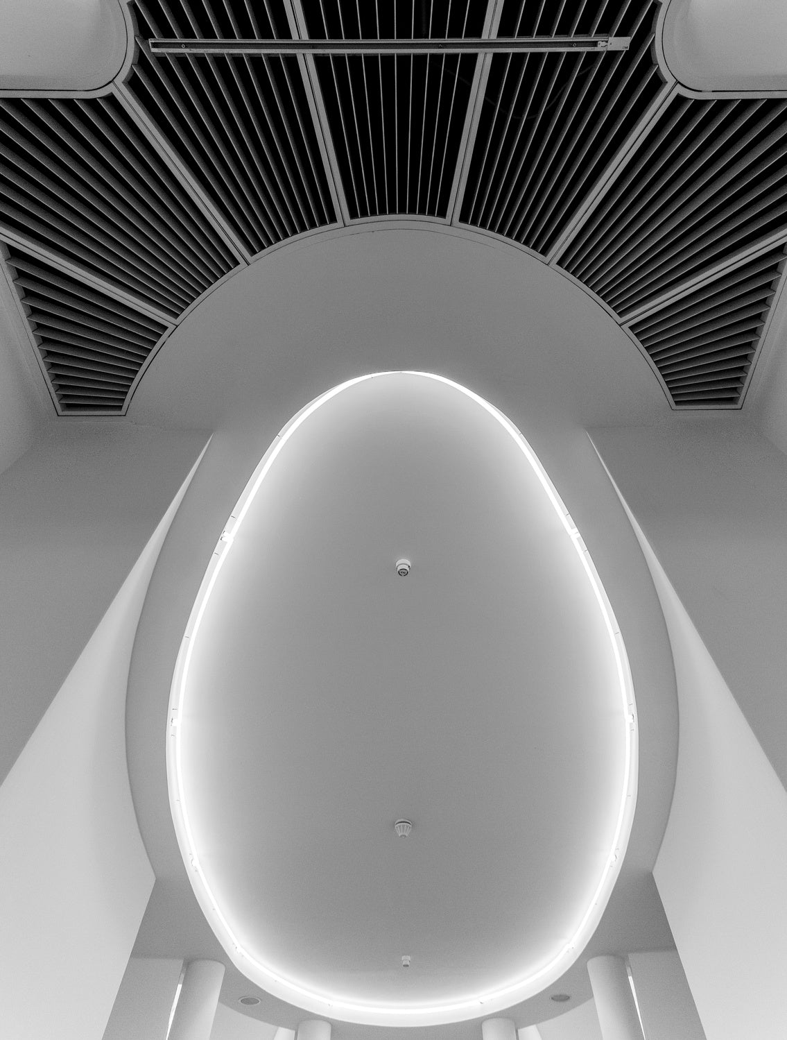oval Poster och Canvastavla