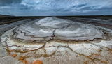 The heart of nature Poster och Canvastavla