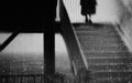 Loneliness... Poster och Canvastavla