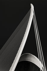 Diagonals Poster och Canvastavla