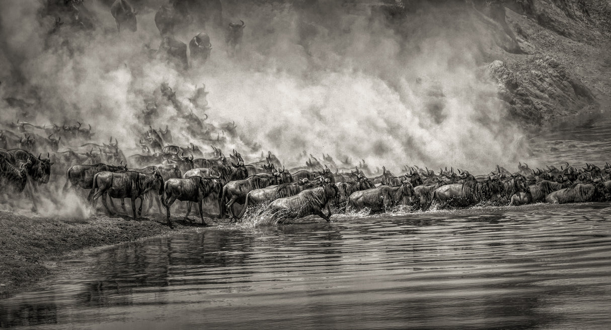 The river crossing Poster och Canvastavla
