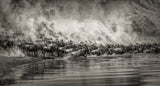 The river crossing Poster och Canvastavla