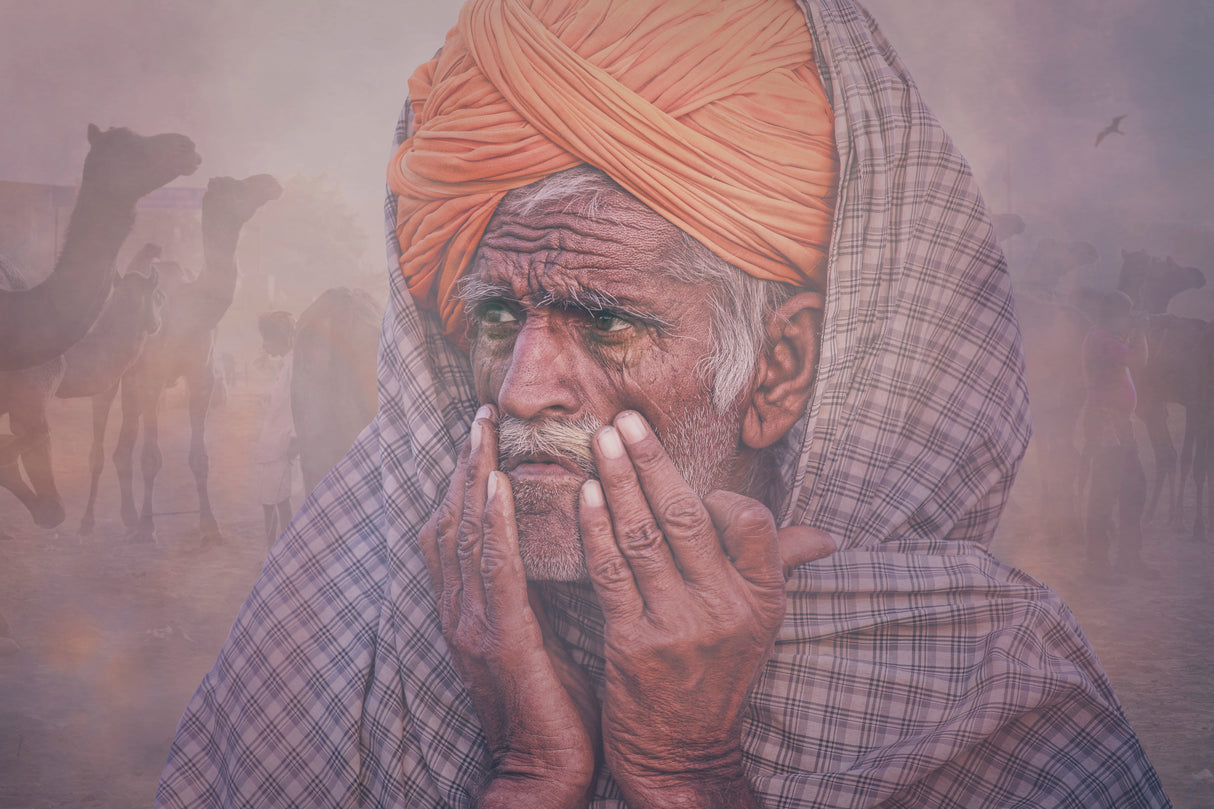 Old Rajasthani man Poster och Canvastavla