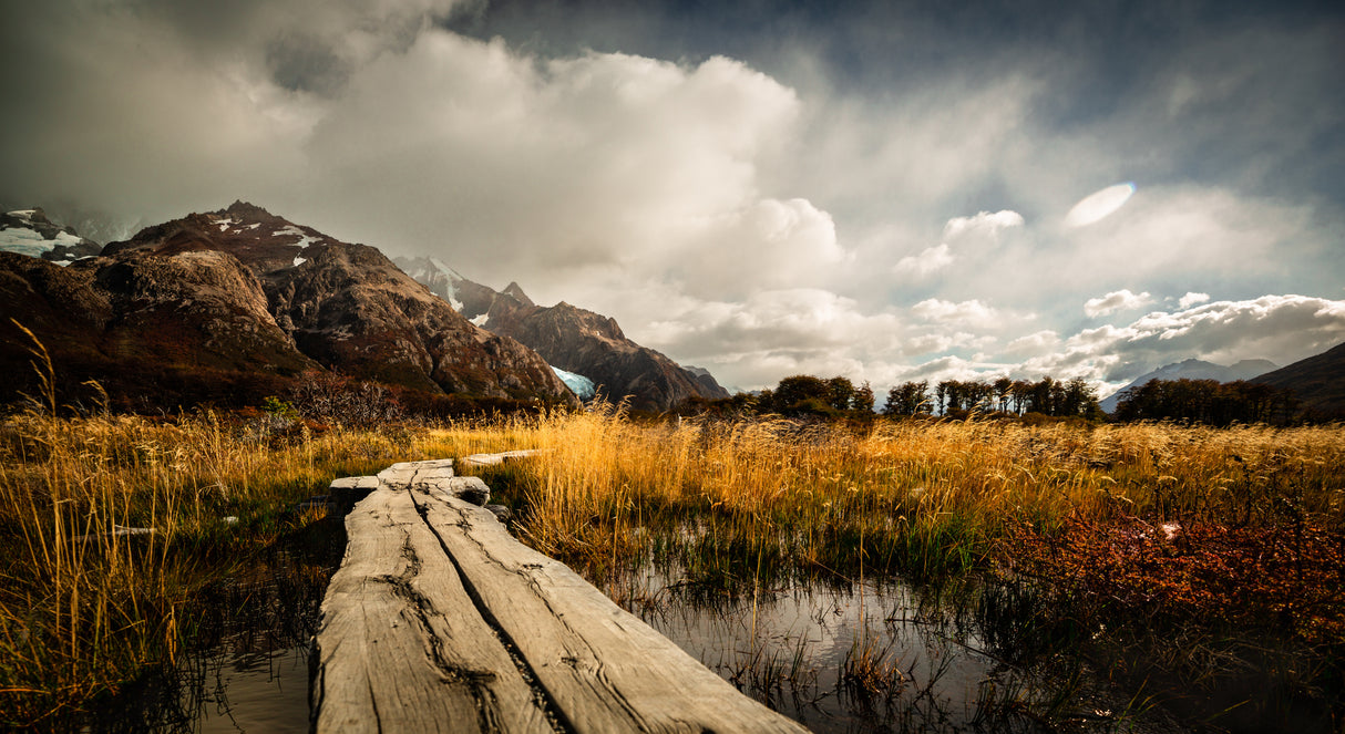 Autumn Bridge Poster och Canvastavla