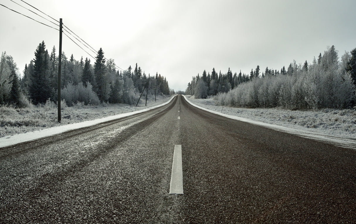 Going somewhere Poster och Canvastavla
