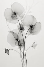 Transparent Botanic No1 Poster och Canvastavla