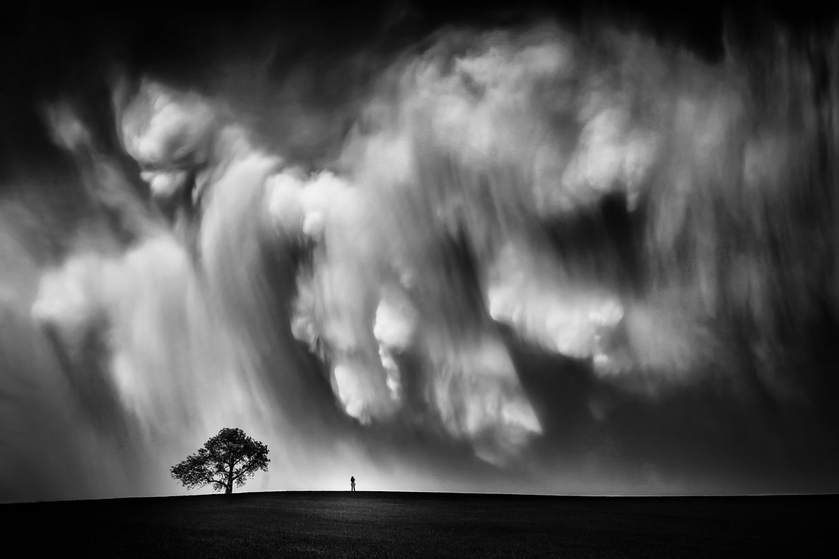 Storm Chaser Poster och Canvastavla