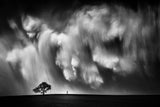 Storm Chaser Poster och Canvastavla