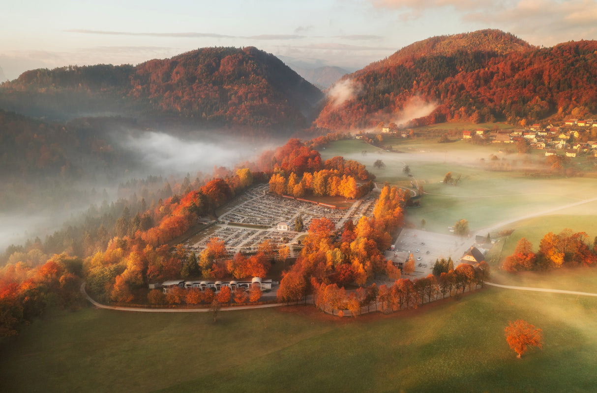 Autumn mist Poster och Canvastavla