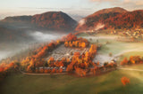 Autumn mist Poster och Canvastavla