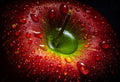 Red Apple Poster och Canvastavla
