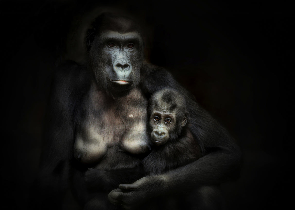 MOTHERHOOD .... Poster och Canvastavla