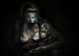 MOTHERHOOD .... Poster och Canvastavla