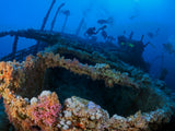 Wreck of the Numidia Poster och Canvastavla
