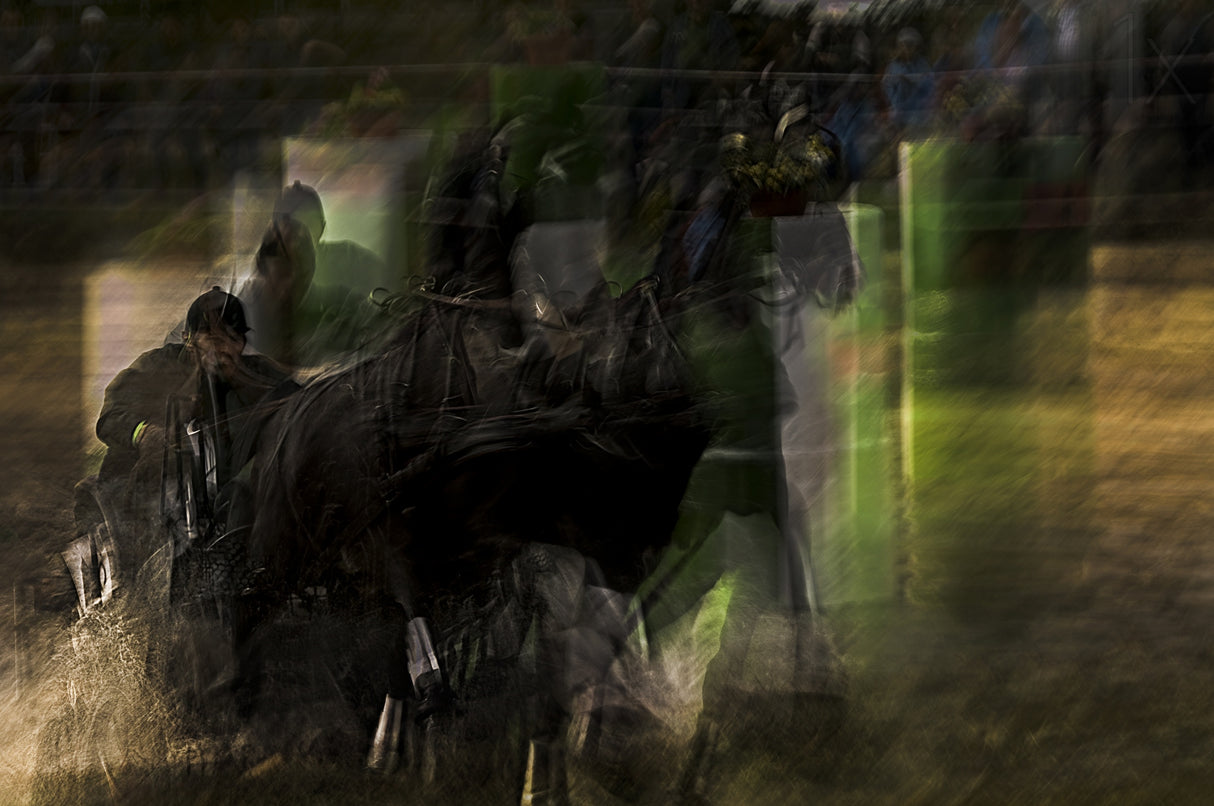 Horse pair marathon Poster och Canvastavla