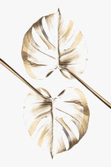 Monstera Gold 10 Poster och Canvastavla