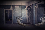 A dollhouse I Poster och Canvastavla